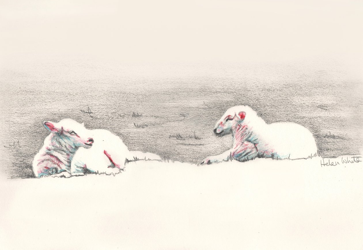 Uyuklayan, 2016, (karakalem) by Helen White