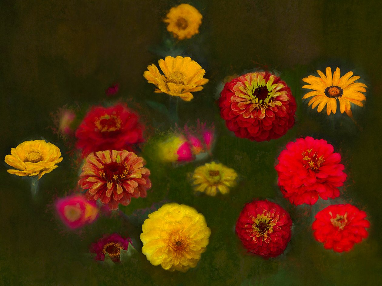 Olağanüstü Güzellik, 2019 by Helen White