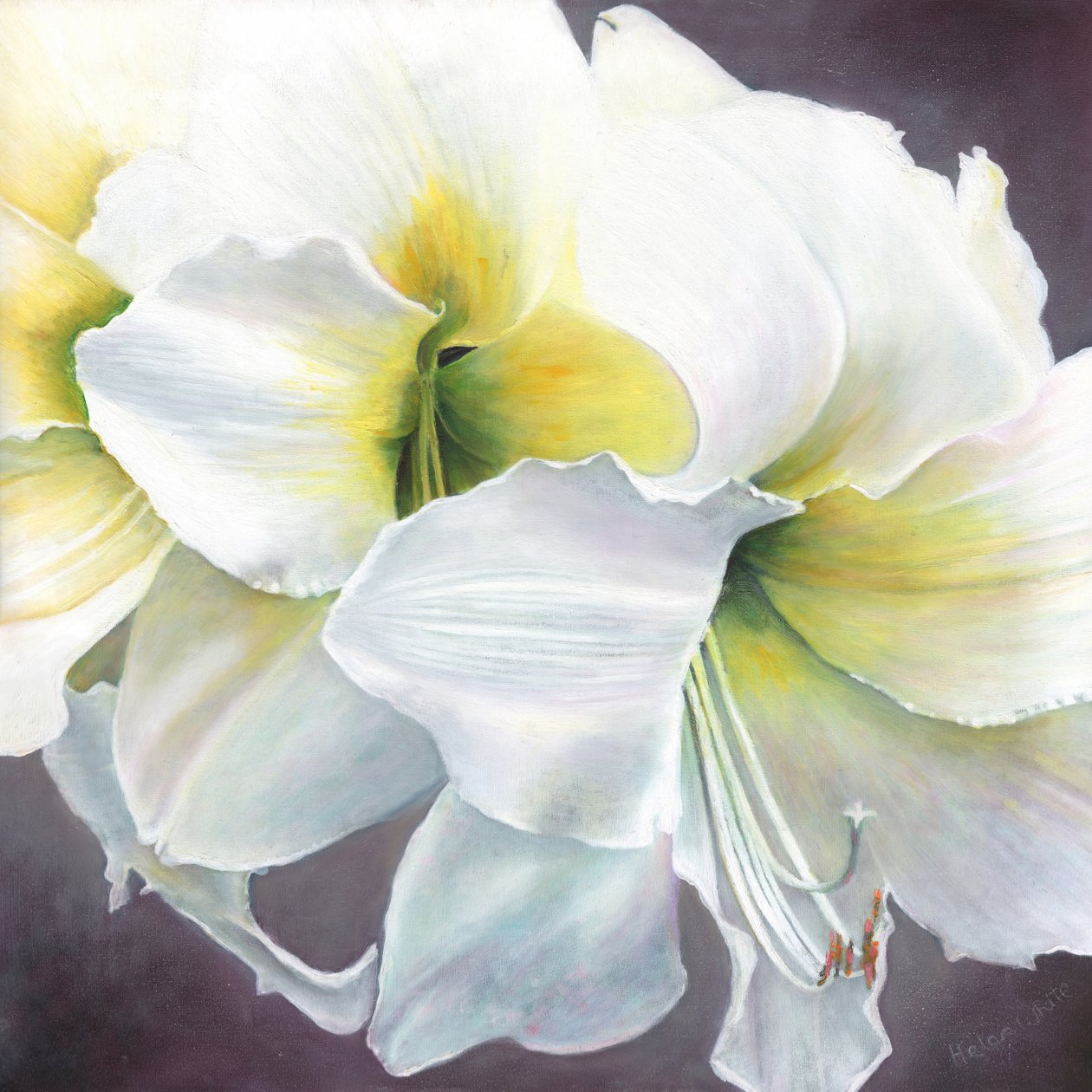 Saf potansiyel, 2016, by Helen White