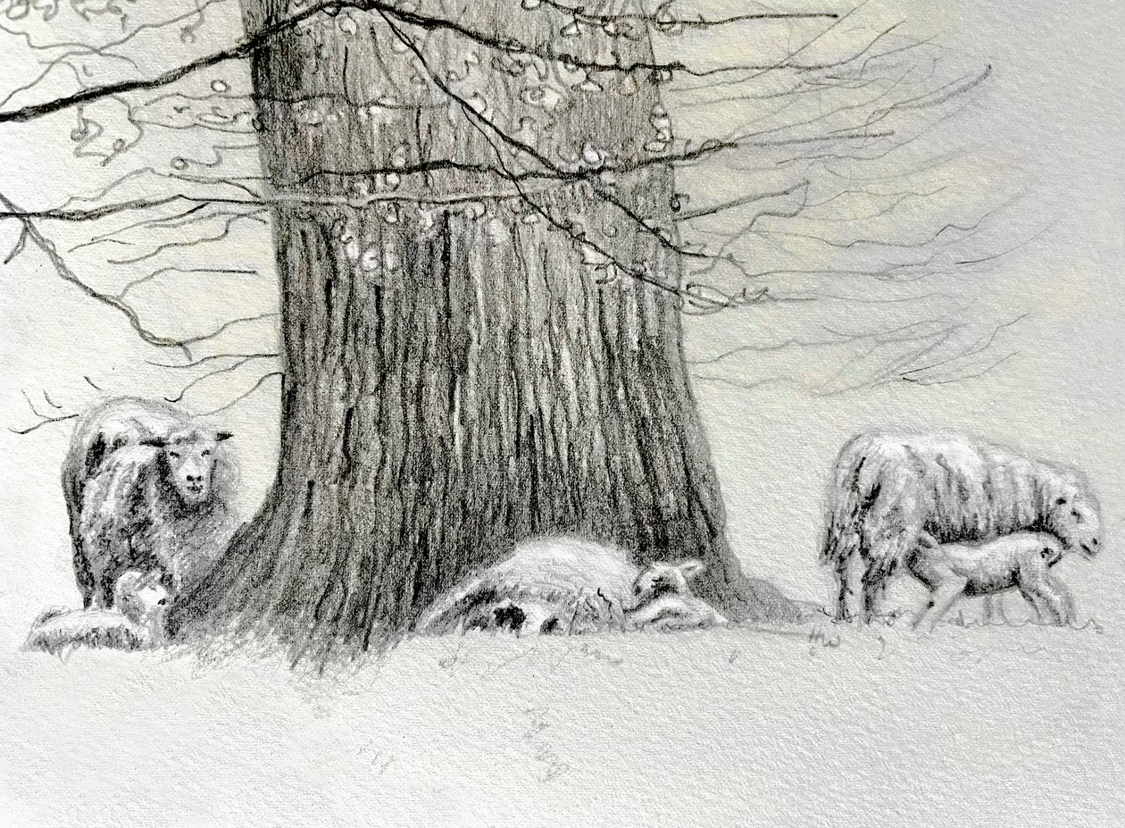 Shady Tree, 2022 by Helen White
