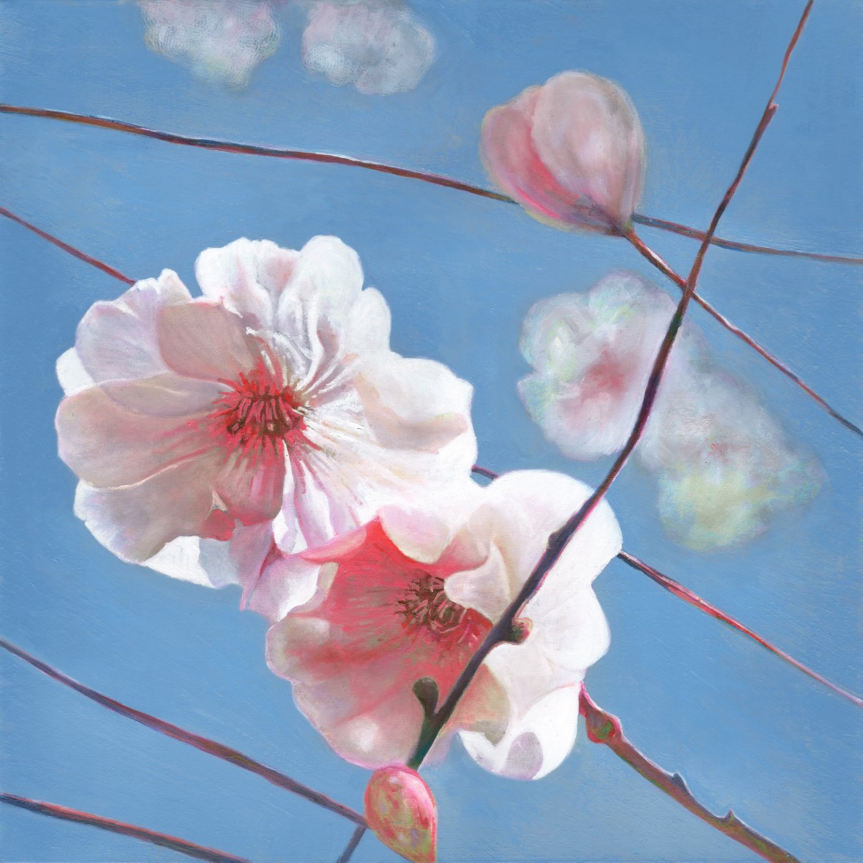 Parlayan Başlangıç, 2015 by Helen White