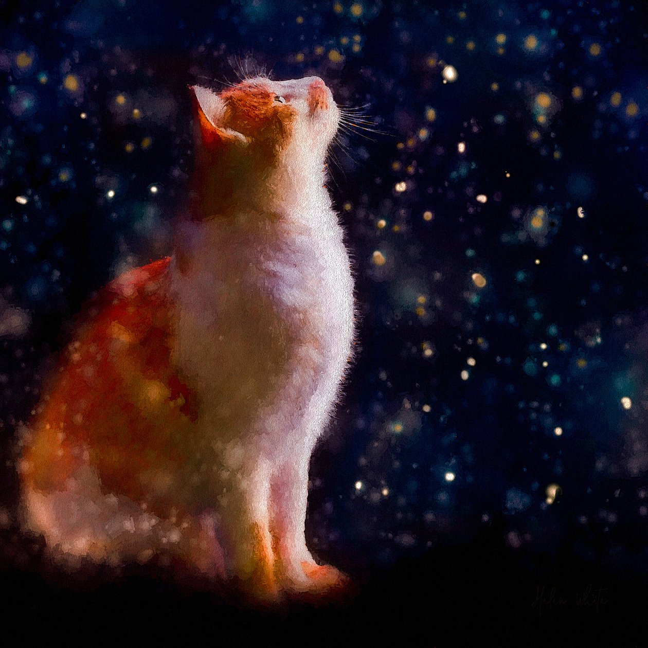 Kar Gözlemi, 2019 by Helen White