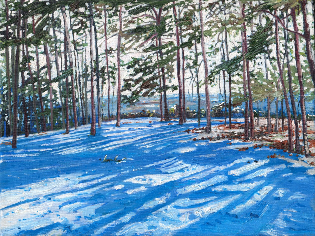 Karlı Sırt, 2009 by Helen White