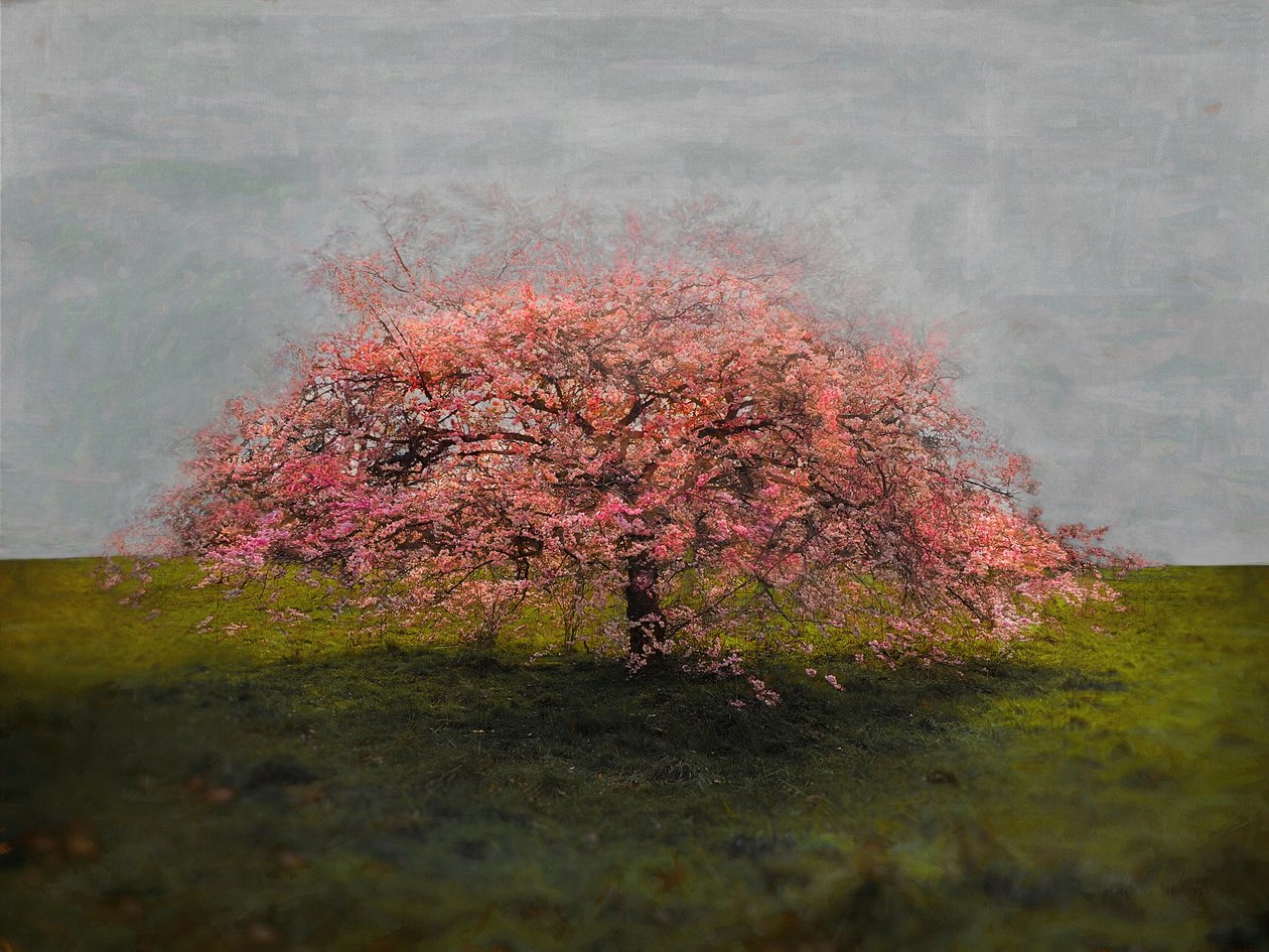 Tek Başına Güzellik, 2019 by Helen White