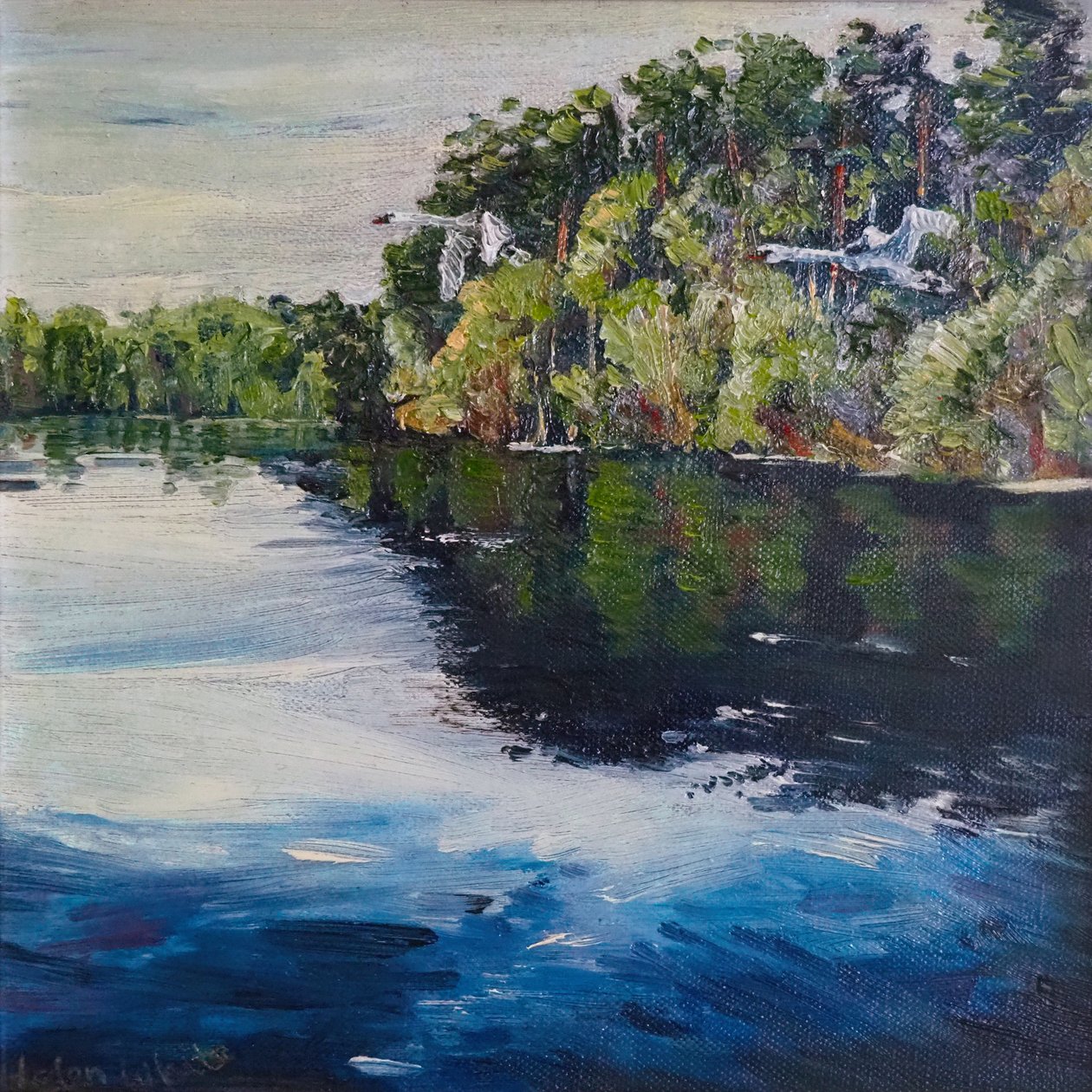 Kuğu Uçuşu, 2008 by Helen White