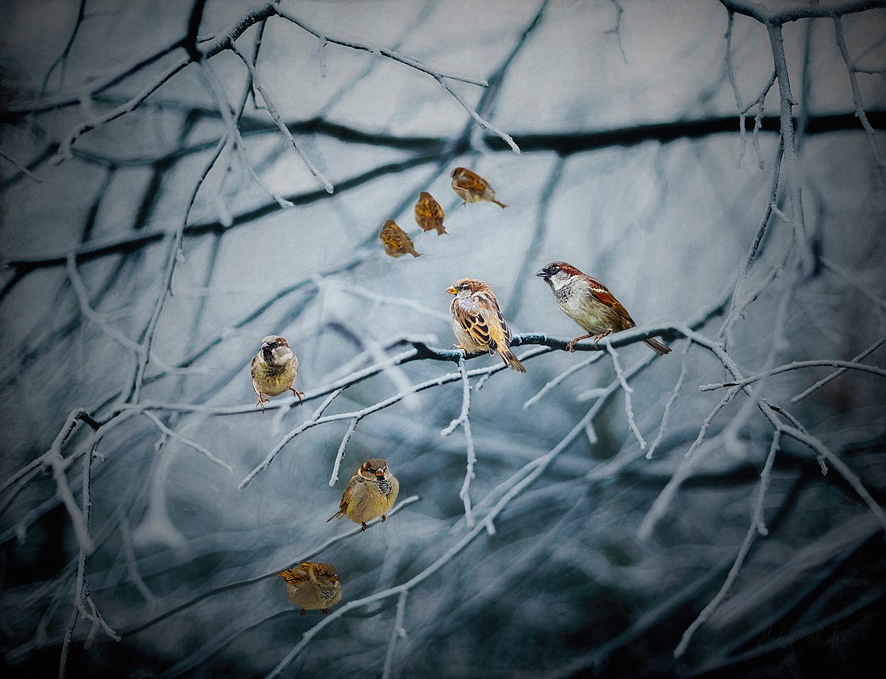 Hayatla İç içe, 2019 by Helen White
