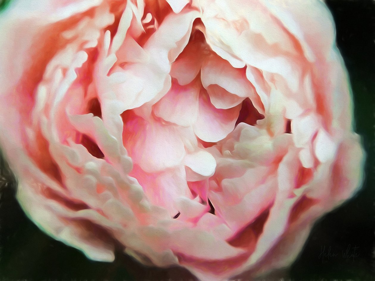 Hassas Kalp, 2018, by Helen White