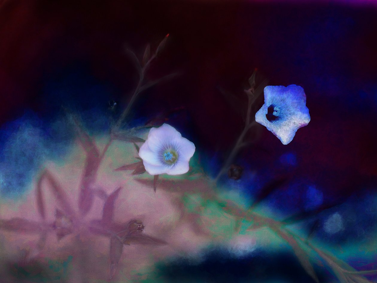 Geçicilik, 2019 by Helen White