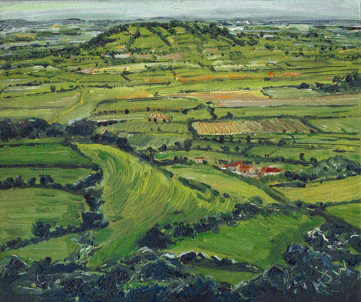 Tor II'den Görünüm, 2008 by Helen White