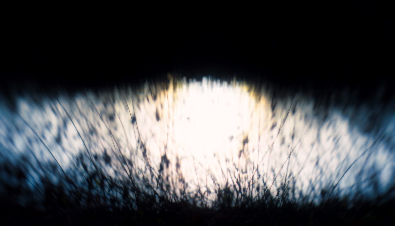 Su halısı IV, 2017, (manipüle edilmiş fotoğraf) by Helen White