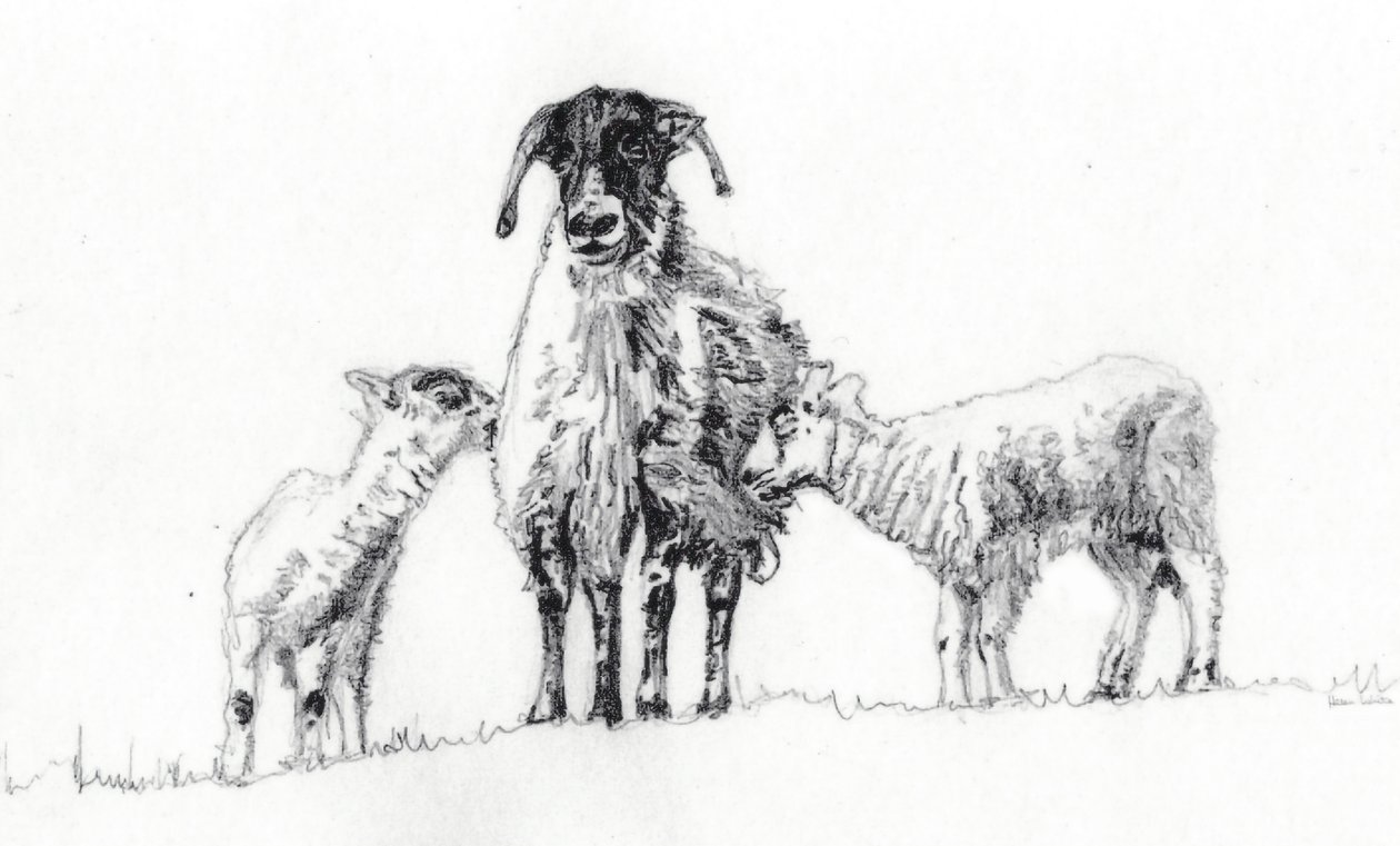  by Helen White