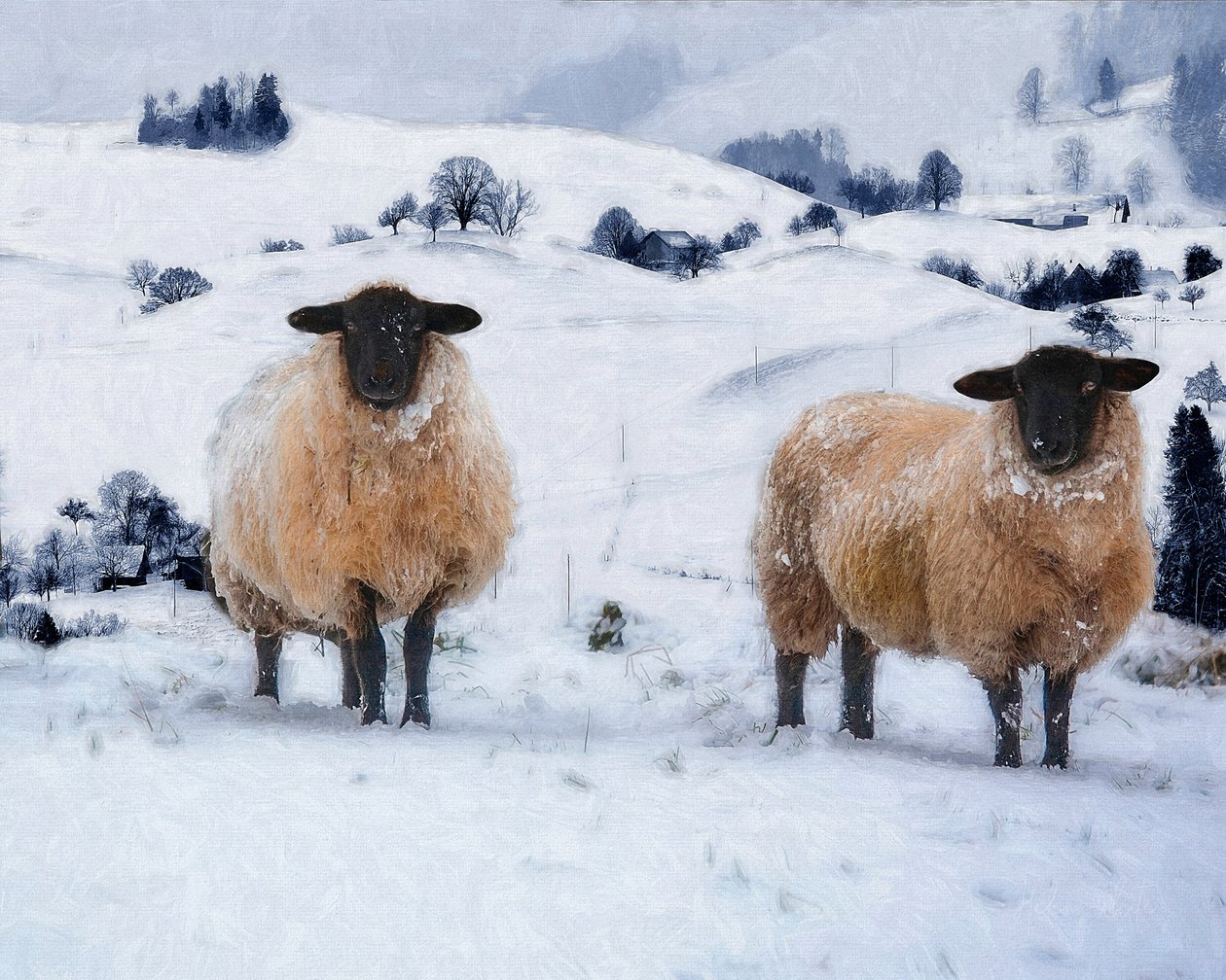 Kışlık Mont, 2019 by Helen White