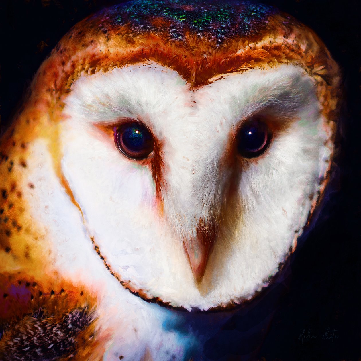 Karanlıkta Bilgelik, 2019 (karma teknik) by Helen White