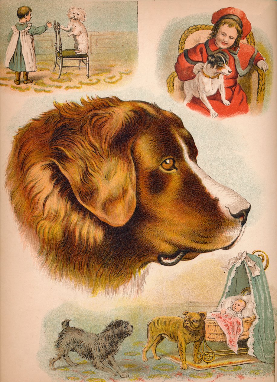 Köpek, c1900 by Helena J. Maguire