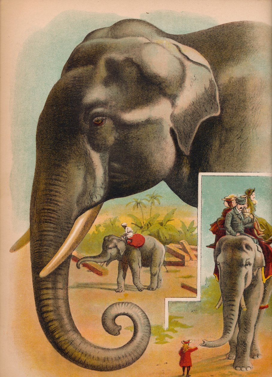 Fil, c1900 by Helena J. Maguire