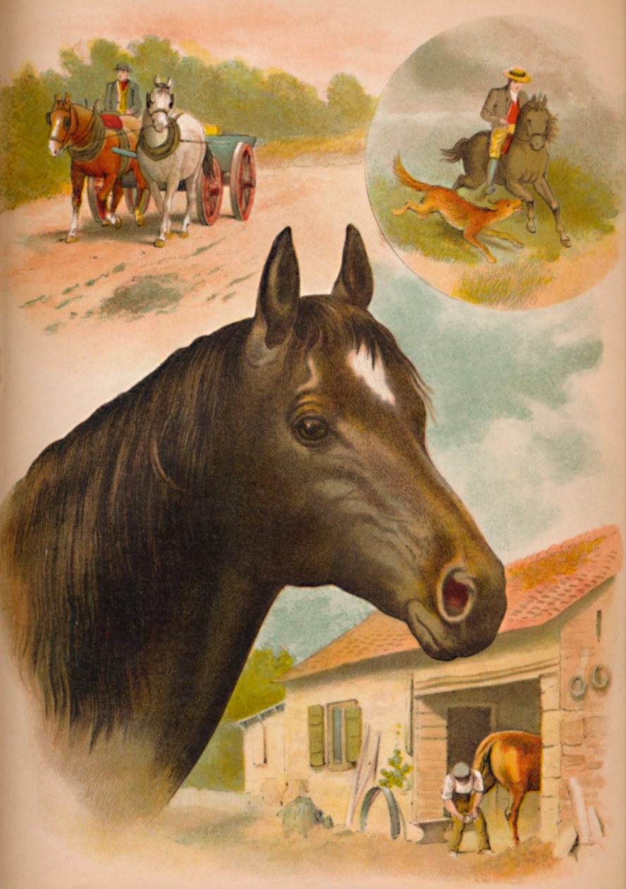 At, c1900 by Helena J. Maguire