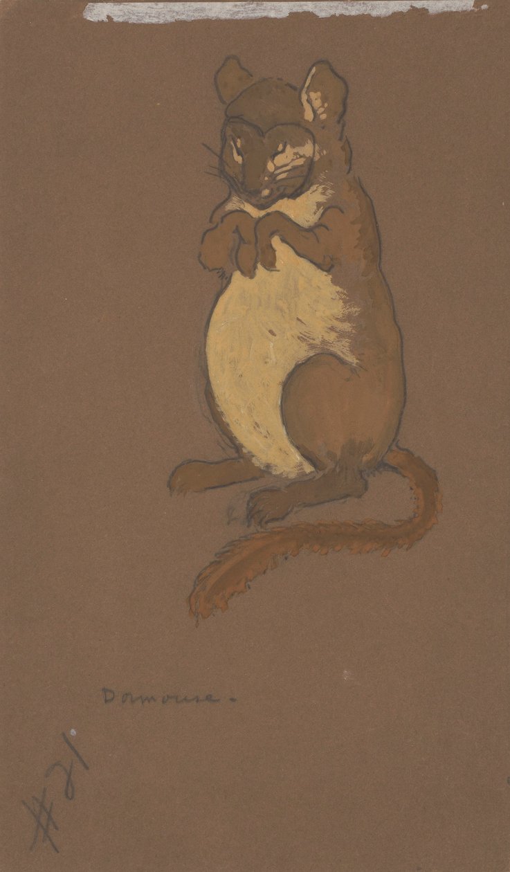  by Henderson, William Penhallow
