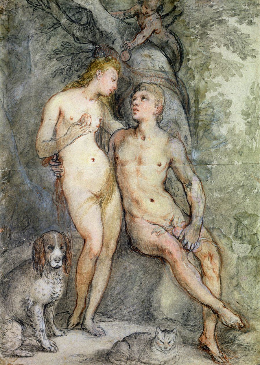 Adam and Eve (pencil and coloured pencil on paper) by Hendrik Goltzius