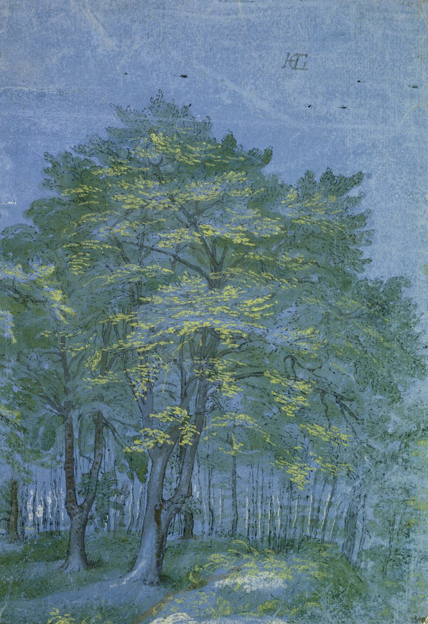 Ağaçta Ağaç Grubu, c.1600 (kalem ve mürekkep ve kağıt üzerinde yıkama) by Hendrik Goltzius