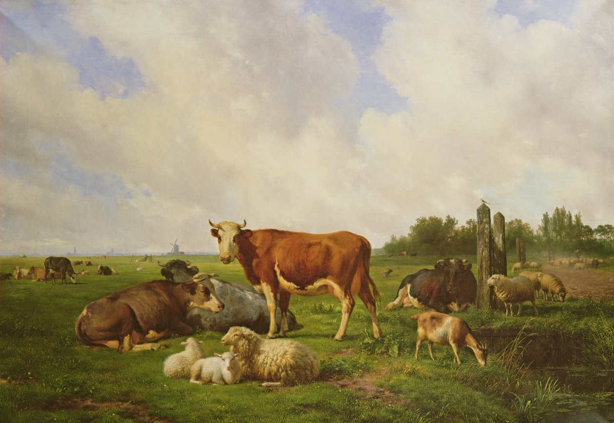 Tarlada Koyun ve Sığır by Hendrick van de Sande Bakhuyzen