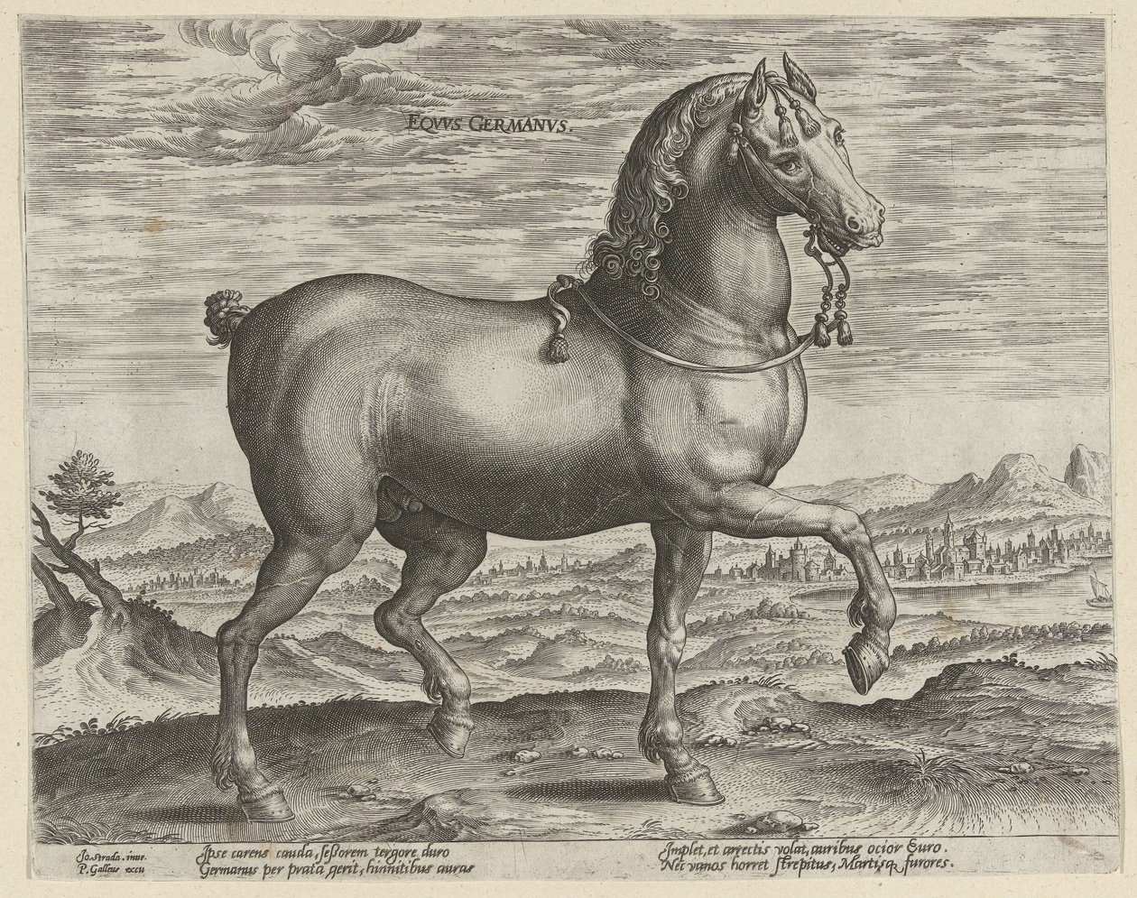 Almanya konumundan aygır Eqvvs Germanvs (nesne üzerindeki başlık) Avusturya Don Juan Kraliyet Ahırlarından At Irkları (seri başlığı) Equile Ioannis Austriaci Caroli (dizi adı) by Hendrick Goltzius (possibly)