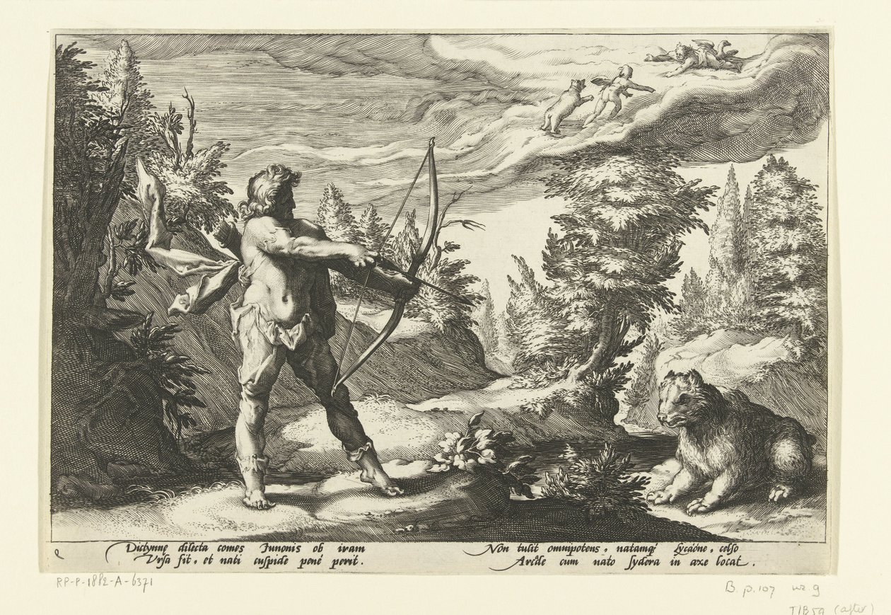 Arcas okunu Callisto