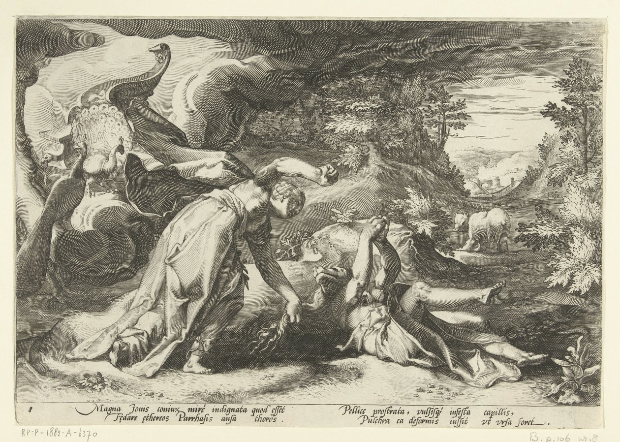 Juno, Callisto