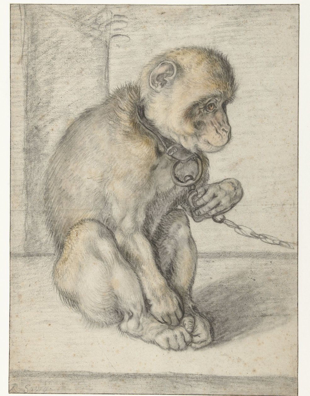 Zincirde Oturan Maymun Zincire Bağlanmış Maymun, Oturmuş by Hendrick Goltzius