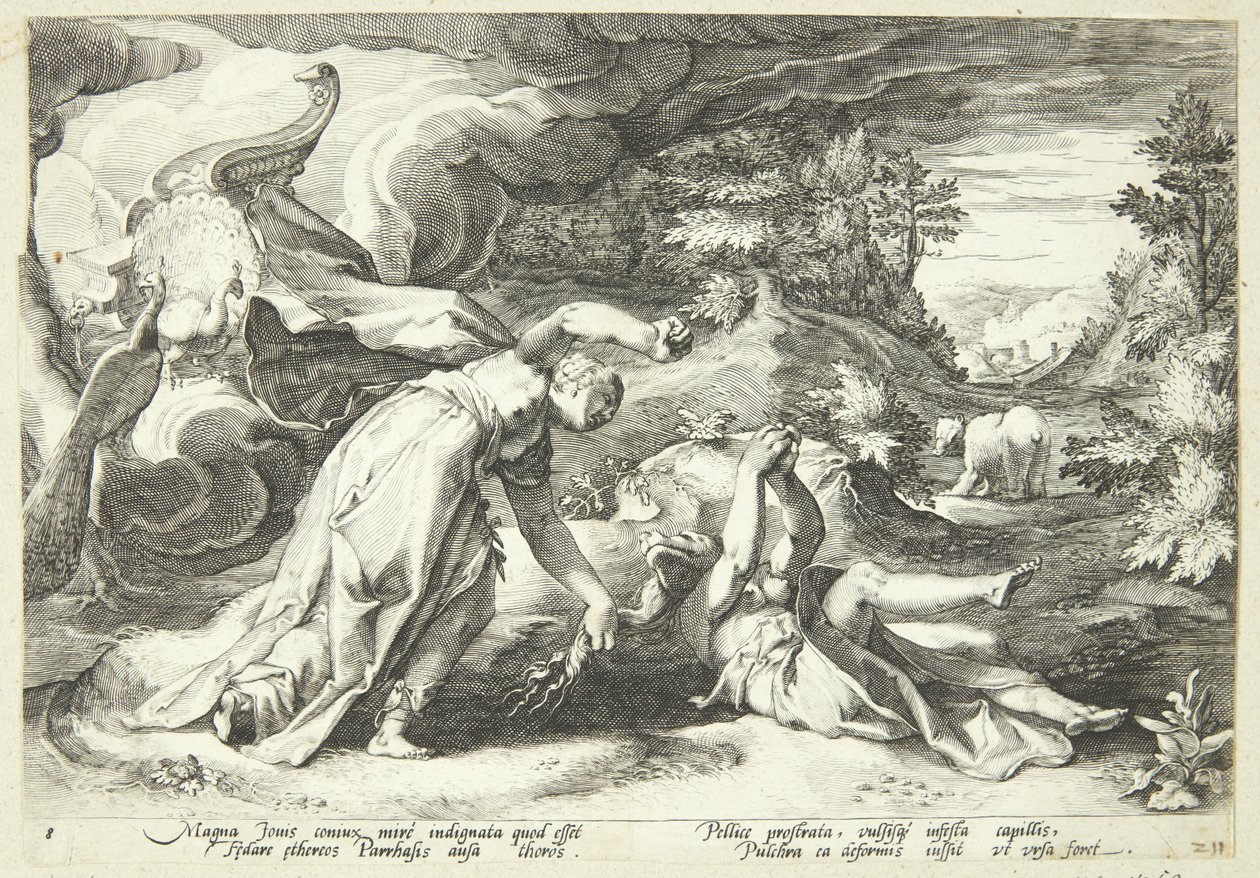 Juno, Kallisto