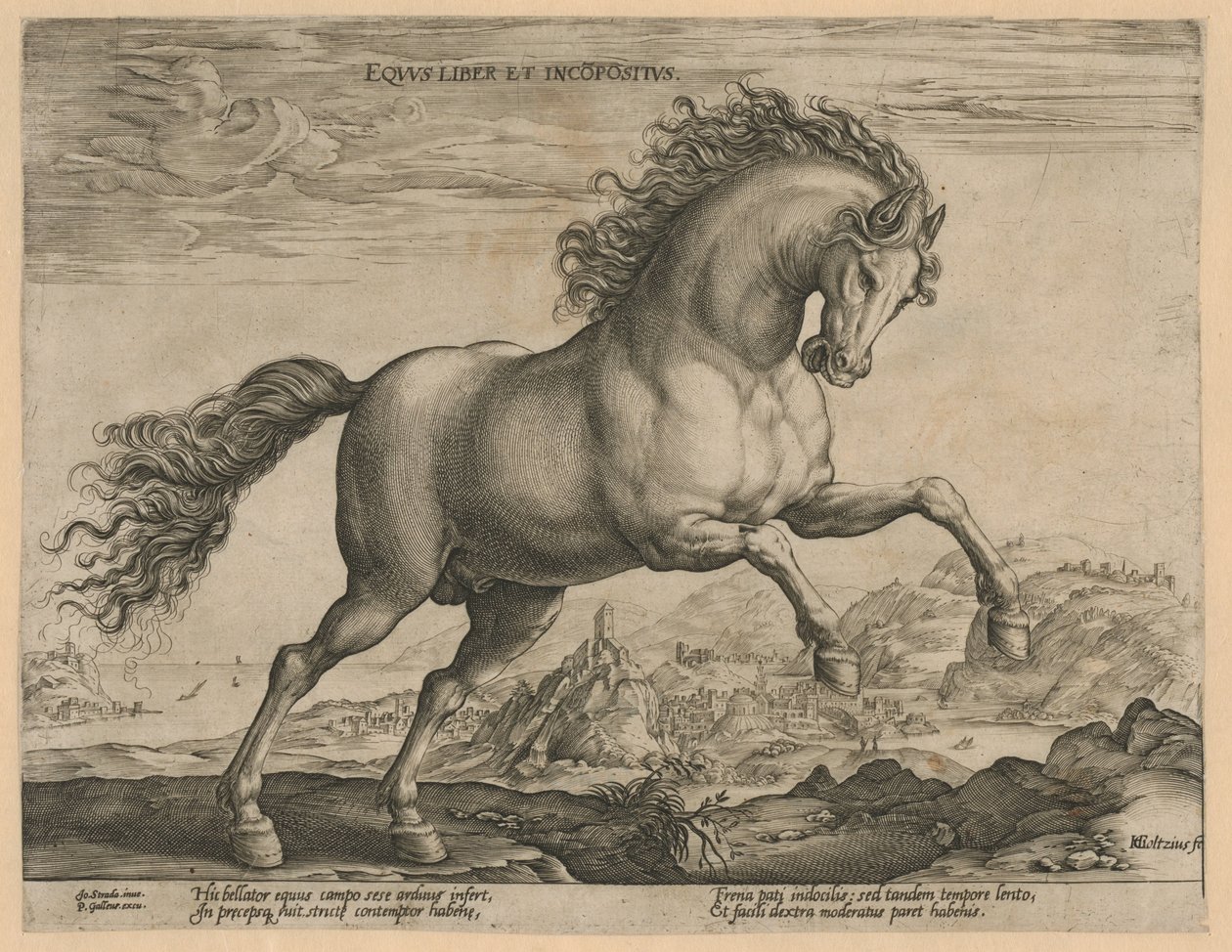 vahşi at Eqvvs liber et incompǒsitvs (nesne üzerindeki başlık) Avusturya Don Juan Kraliyet Ahırlarından At Irkları (seri başlığı) by Hendrick Goltzius