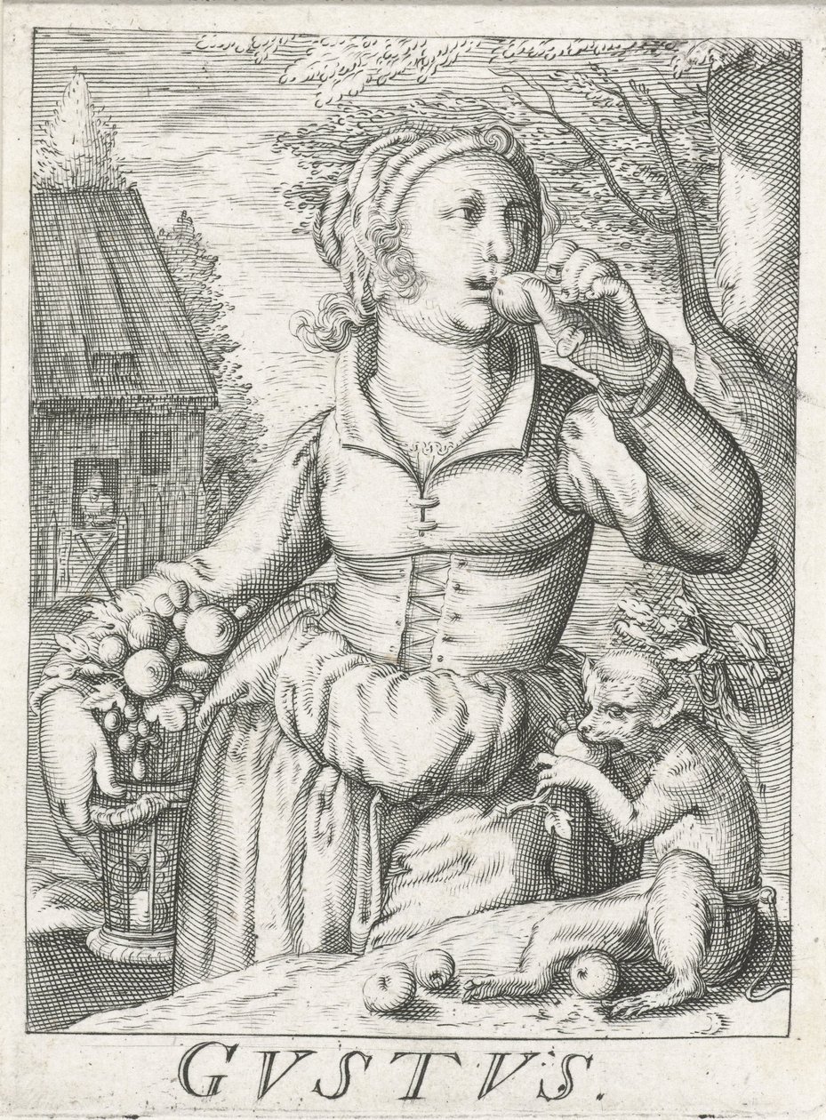Tat (Gustus), meyveli bir kadın Gustus (nesne üzerindeki başlık) Beş duyu (dizi adı) by Hendrick Hondius (rejected attribution)