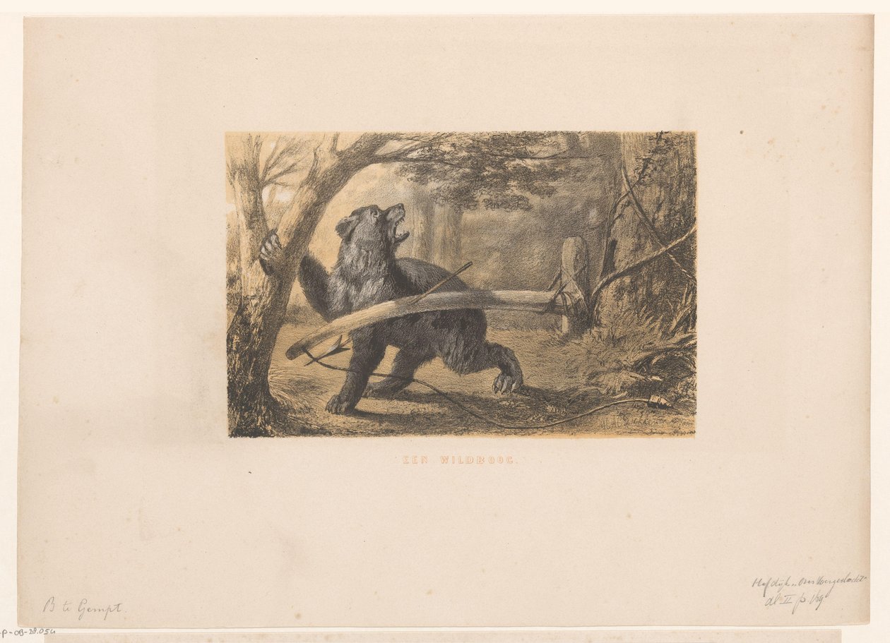 Bir tuzakta ayı Bir vahşi yay (nesne üzerindeki başlık) by Hendrik Adriaan Christiaan Dekker
