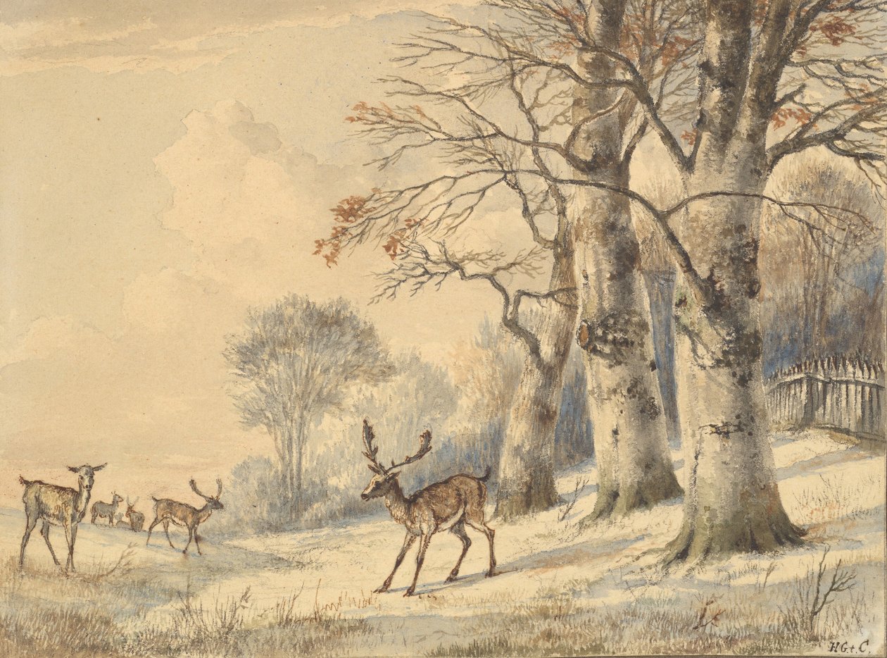 Yazın Kayın Ağaçlarının Altında Geyik, 1853. by Hendrik Gerrit ten Cate