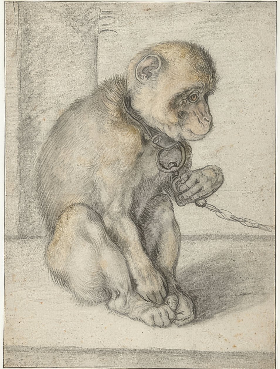 Zincirin üzerinde oturan bir maymun. 1592-1602 by Hendrik Goltzius