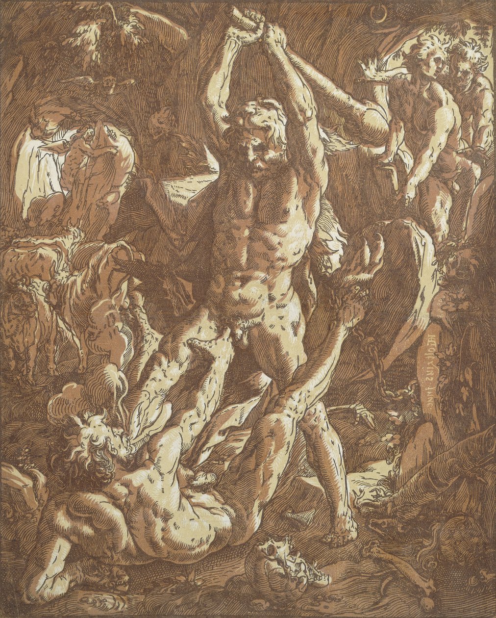 Herkül Cacus