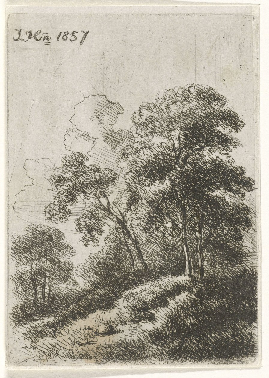 Bir tepe üzerinde ağaçlar by Hendrik Jan Hein