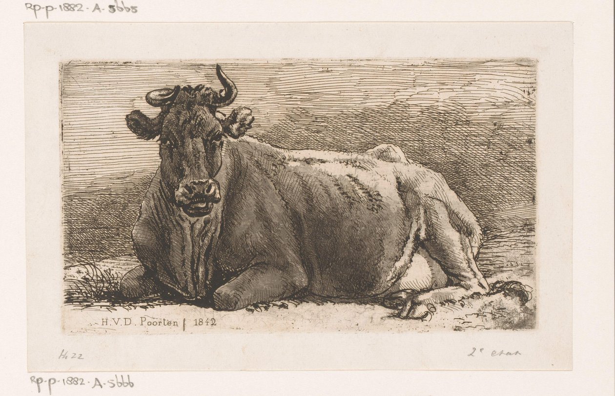 yalancı inek by Hendrik Jozef Franciscus van der Poorten
