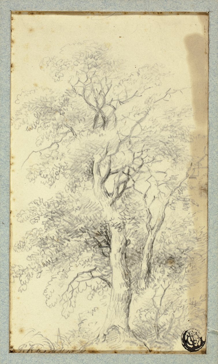 Ağaç by Hendrik Pieter Koekkoek