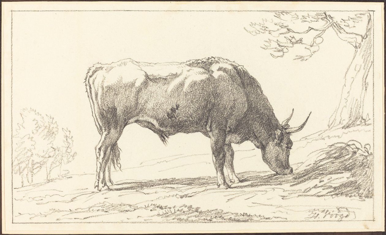 Otlayan Bir Genç Boğa by Hendrik Voogd