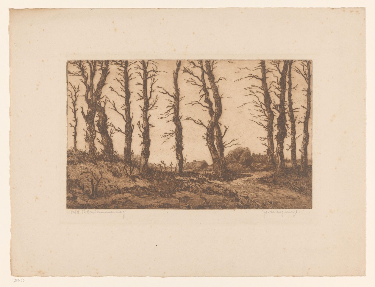 Oud Blaricummerweg (nesne üzerindeki orijinal başlık) by Hendrik Weegewijs (signed by artist)