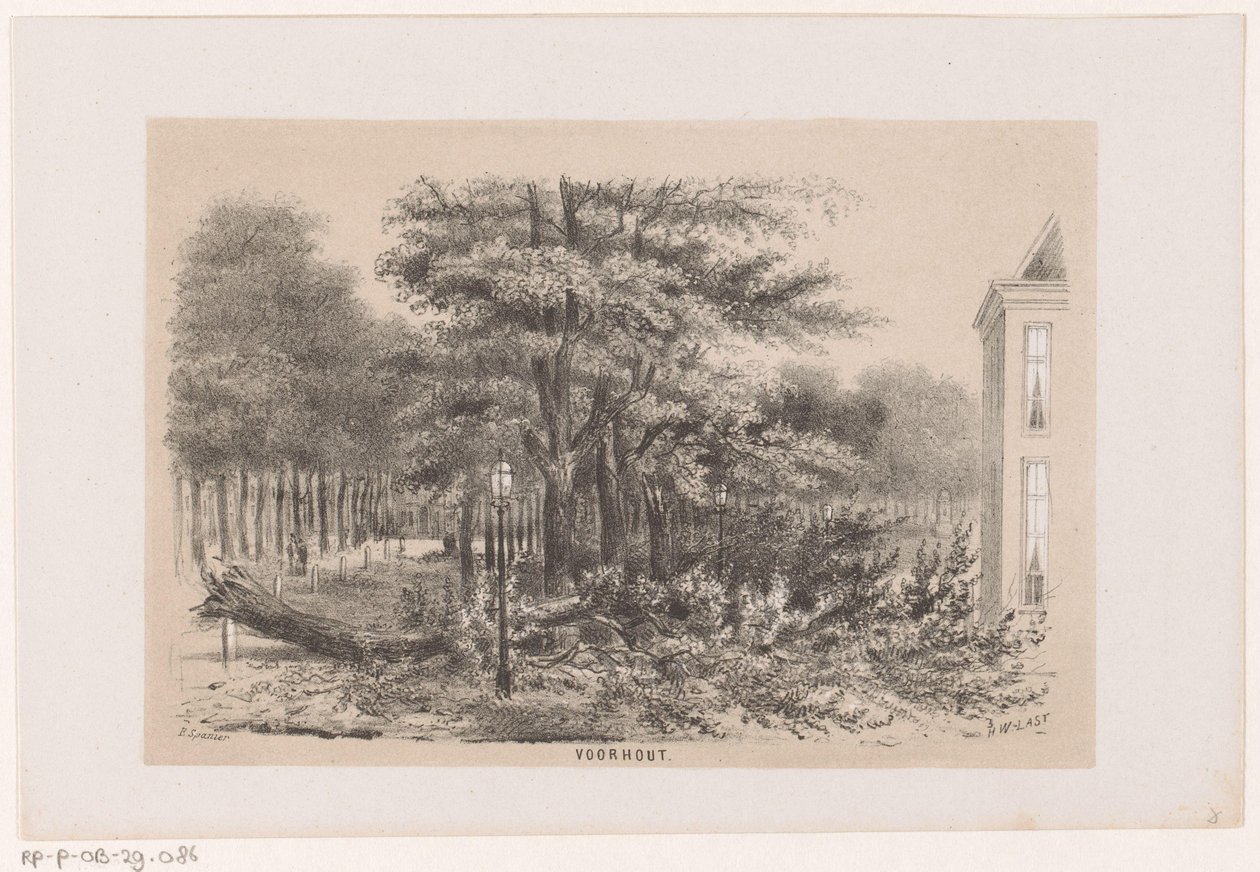 28 Mayıs 1860 fırtınasından sonra Voorhout yakınlarında ağaç devrildi Voorhout (nesne üzerindeki başlık) Schev