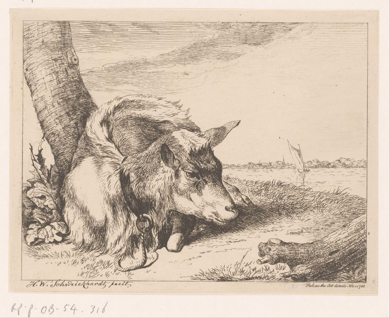 Suya yakın yatan keçi Farklı hayvanlar (dizi başlığı) by Hendrik Willem Schweickhardt