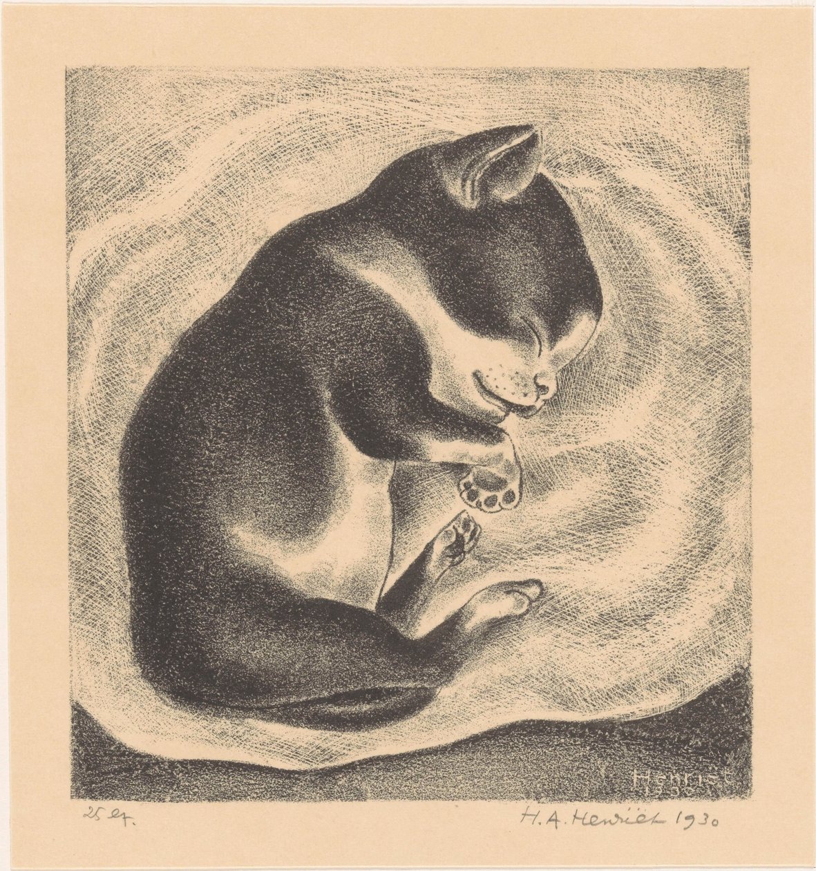 Uyuyan genç kedi by Henk Henriët (signed by artist)