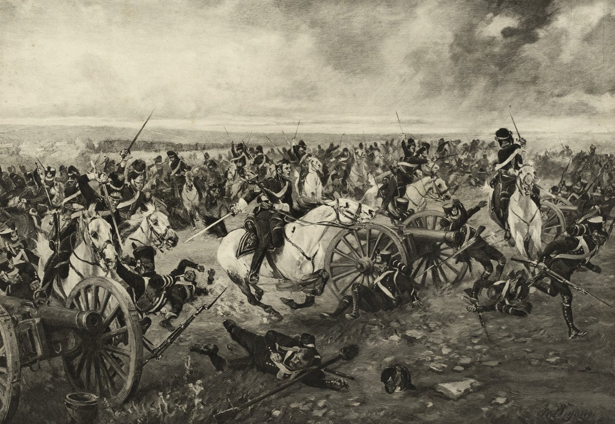 İskoç Grileri Waterloo