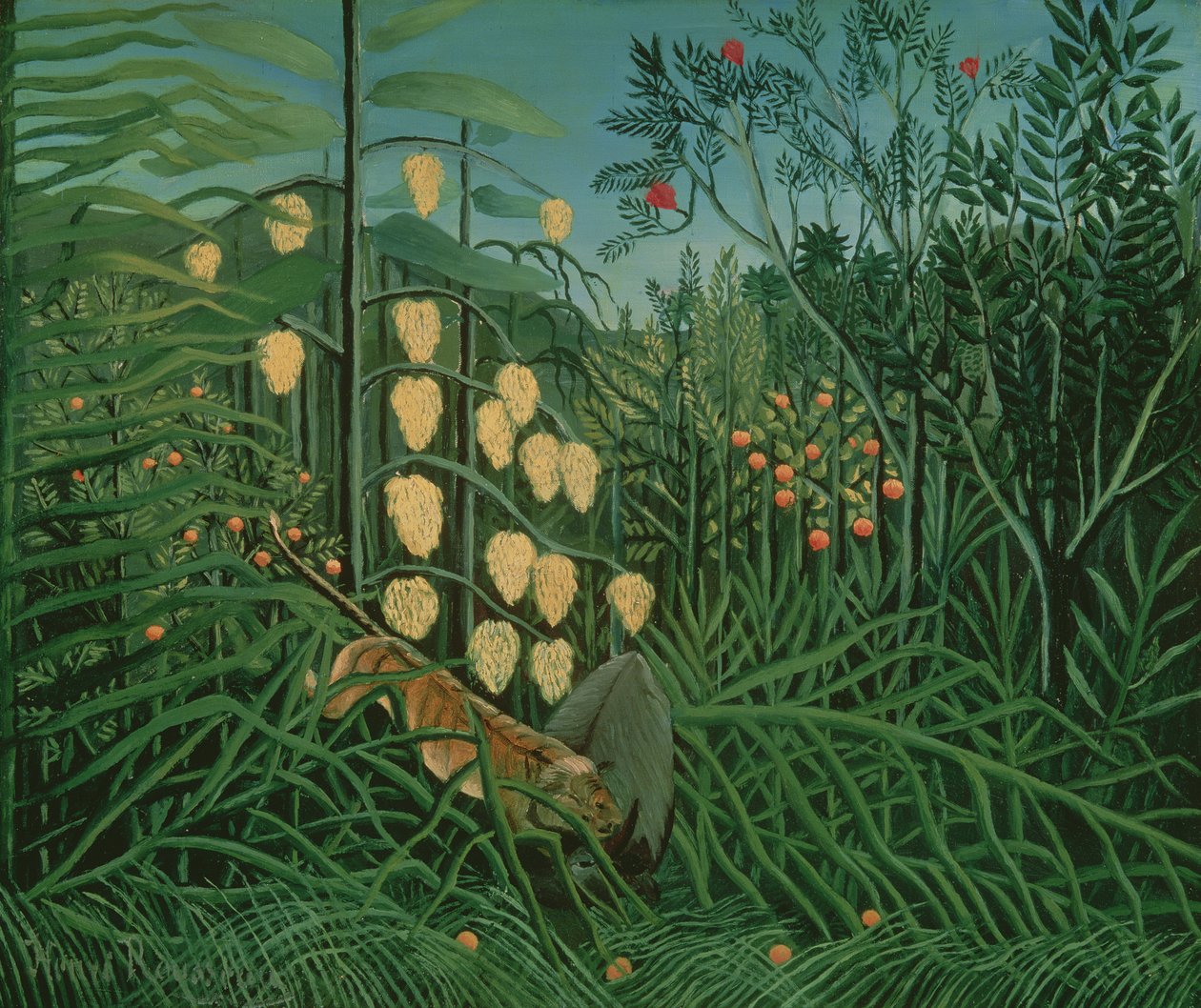 Tropikal Orman: Savaşan Kaplan ve Buffalo, 1908 by Henri Rousseau
