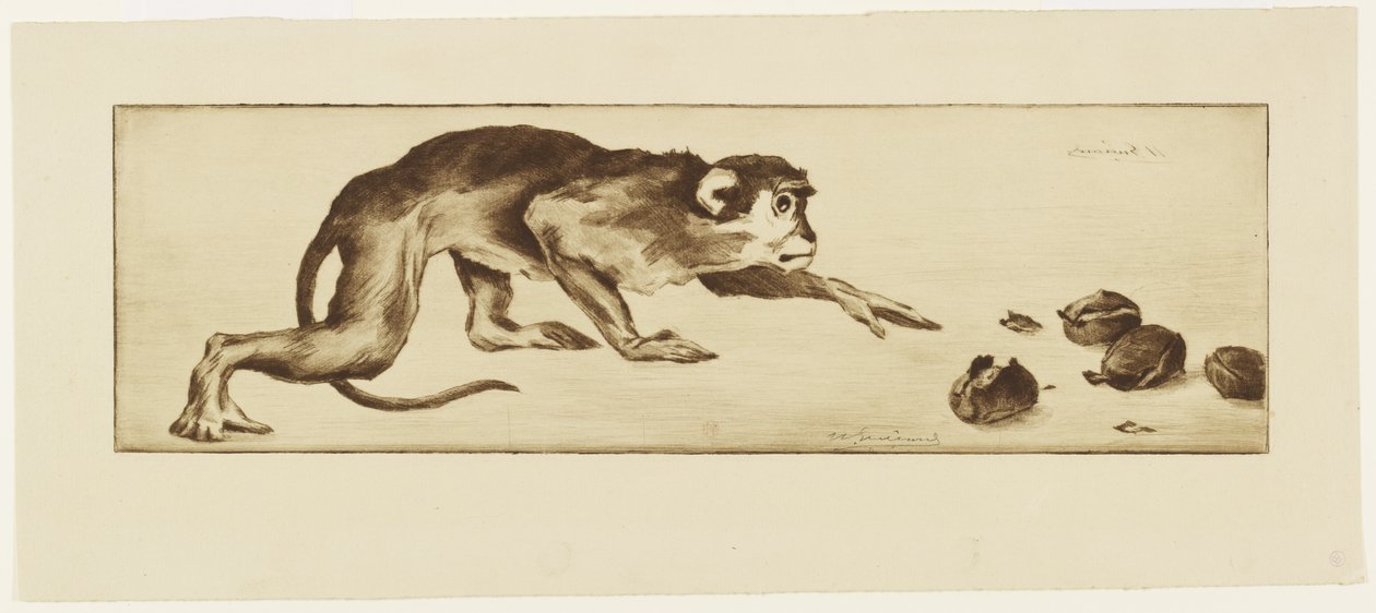 Monkey and Chestnuts, 19th century (etching & roulette) by Henri Charles Guérard