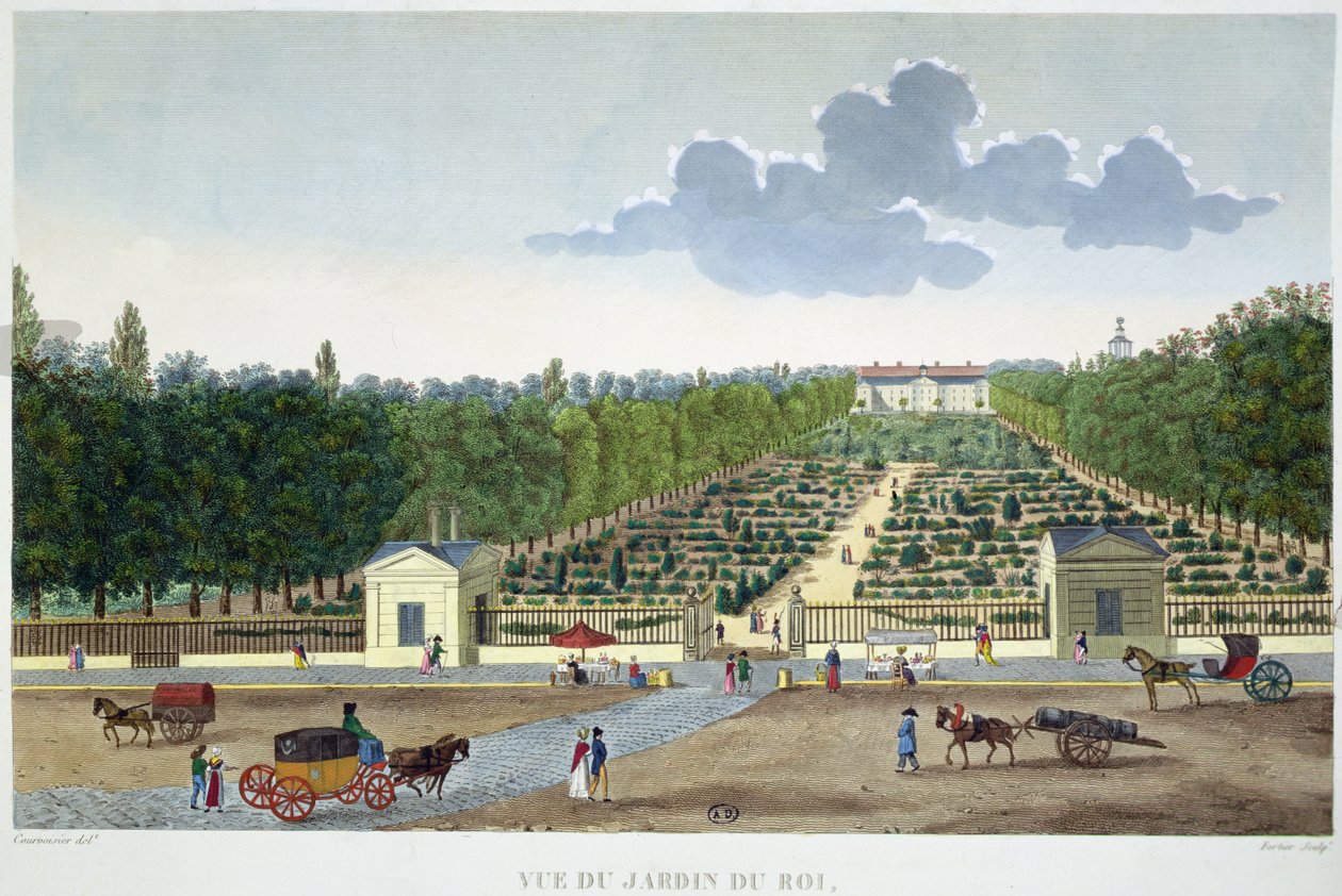 Austerlitz köprüsünden Paris