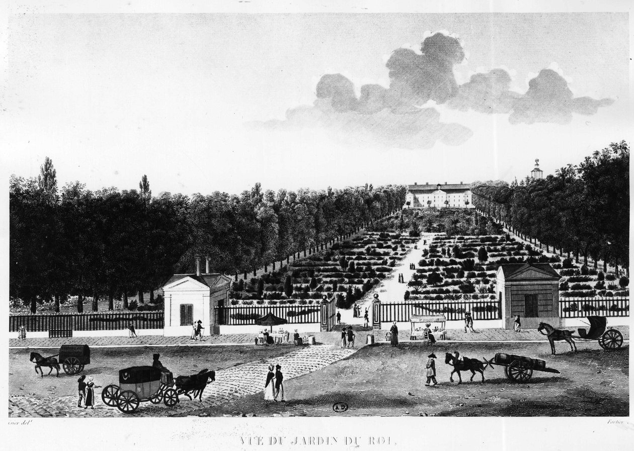 Kralın bahçesinden görünüm: Paris