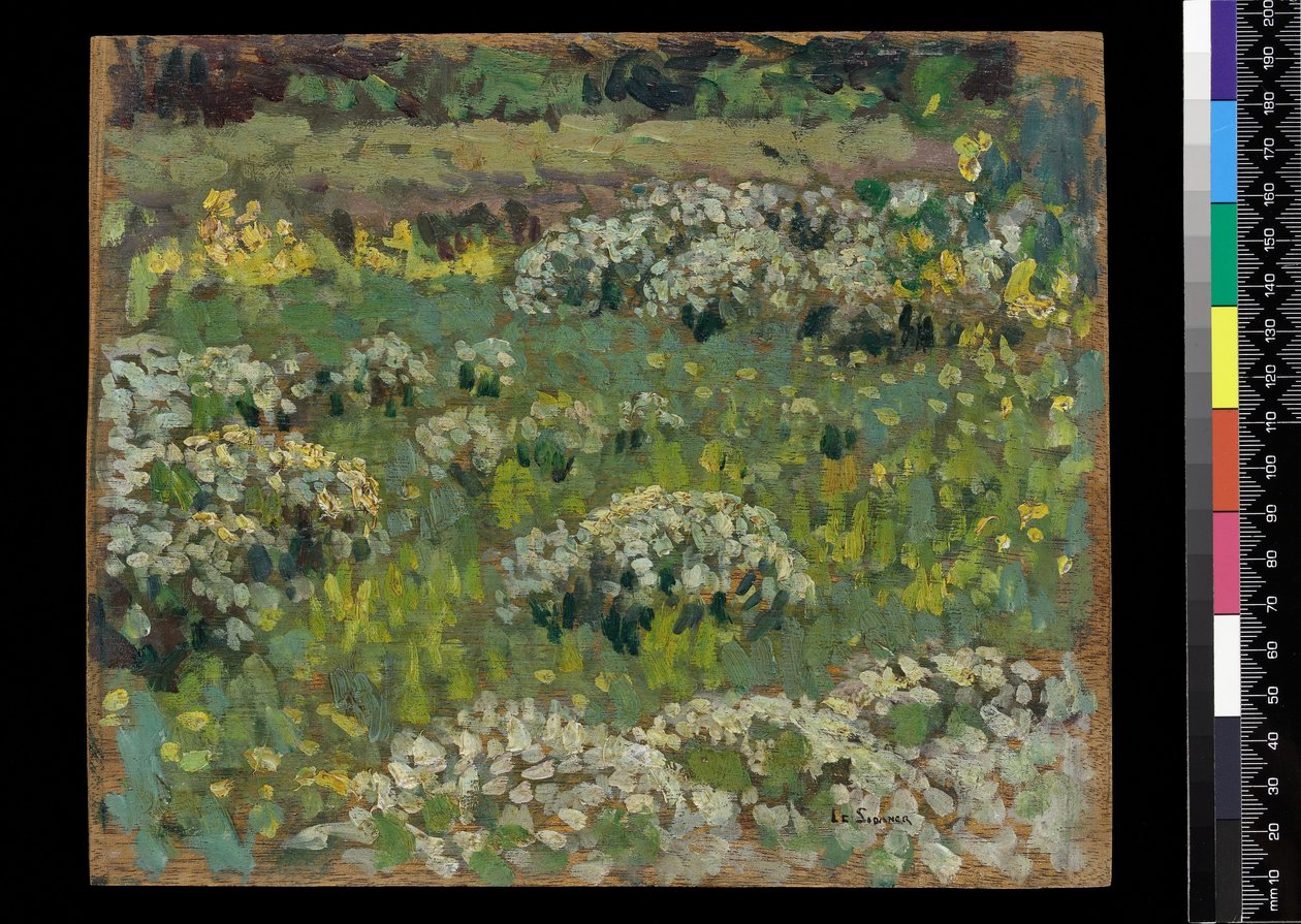 The Pond Garden, Hampton Court (tahta üzerine yağlı boya) by Henri Eugene Augustin Le Sidaner