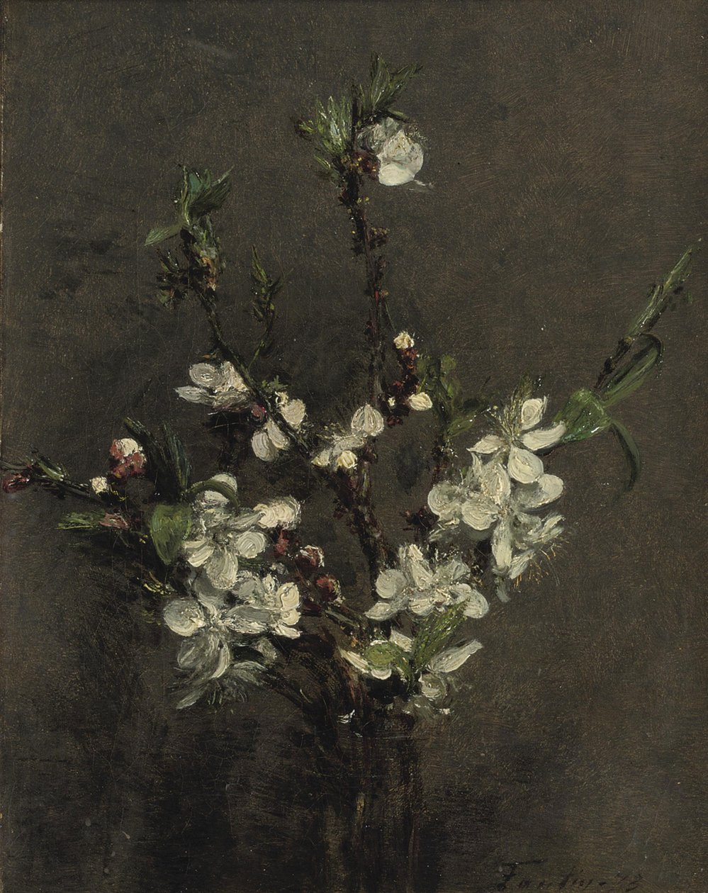 meyve ağacı çiçekleri by Ignace Henri Jean Fantin Latour